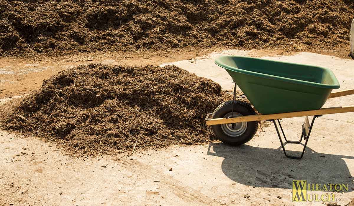 One cubic yard of mulch next to a six cubic foot wheelbarrow for size comparison