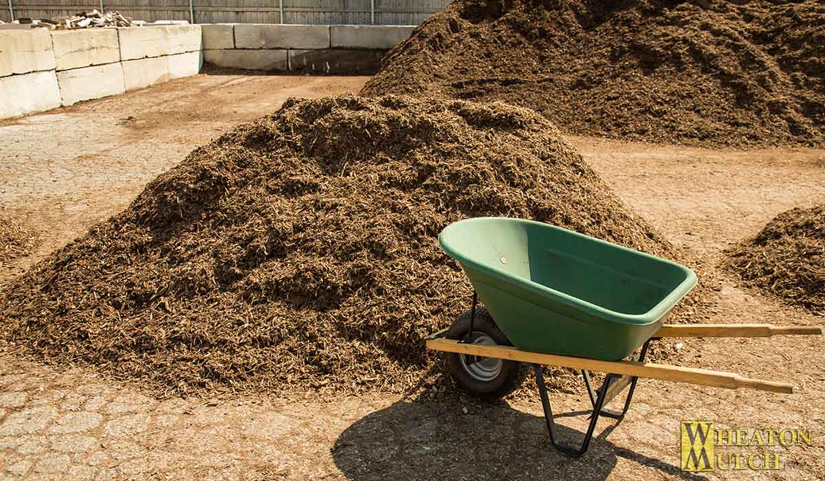 Six cubic yards of mulch next to a six cubic foot wheelbarrow for size comparison