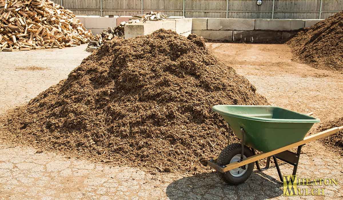 Eight cubic yards of mulch next to a six cubic foot wheelbarrow for size comparison