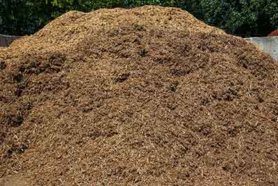 Golden blond Northern White Cedar mulch