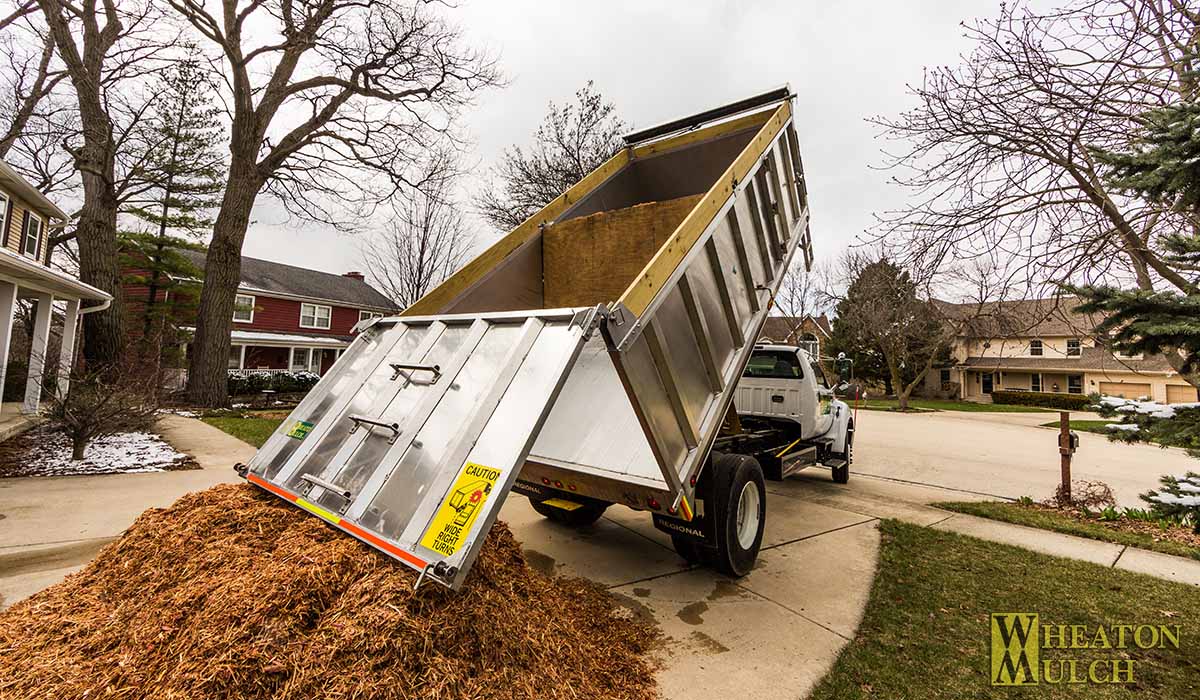 Mulch being dumped from a delivery truck