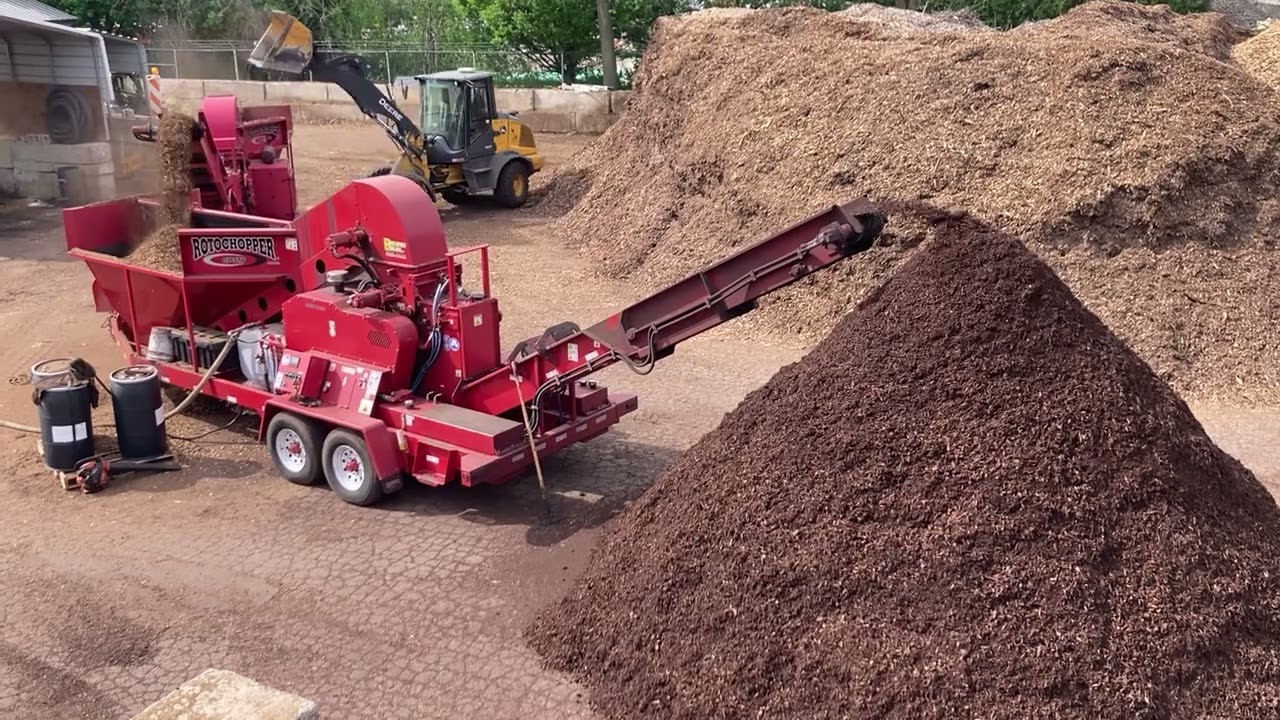 Our Rotochopper grinder discharging fresh colour enhanced mulch onto a pile at the Wheaton yard