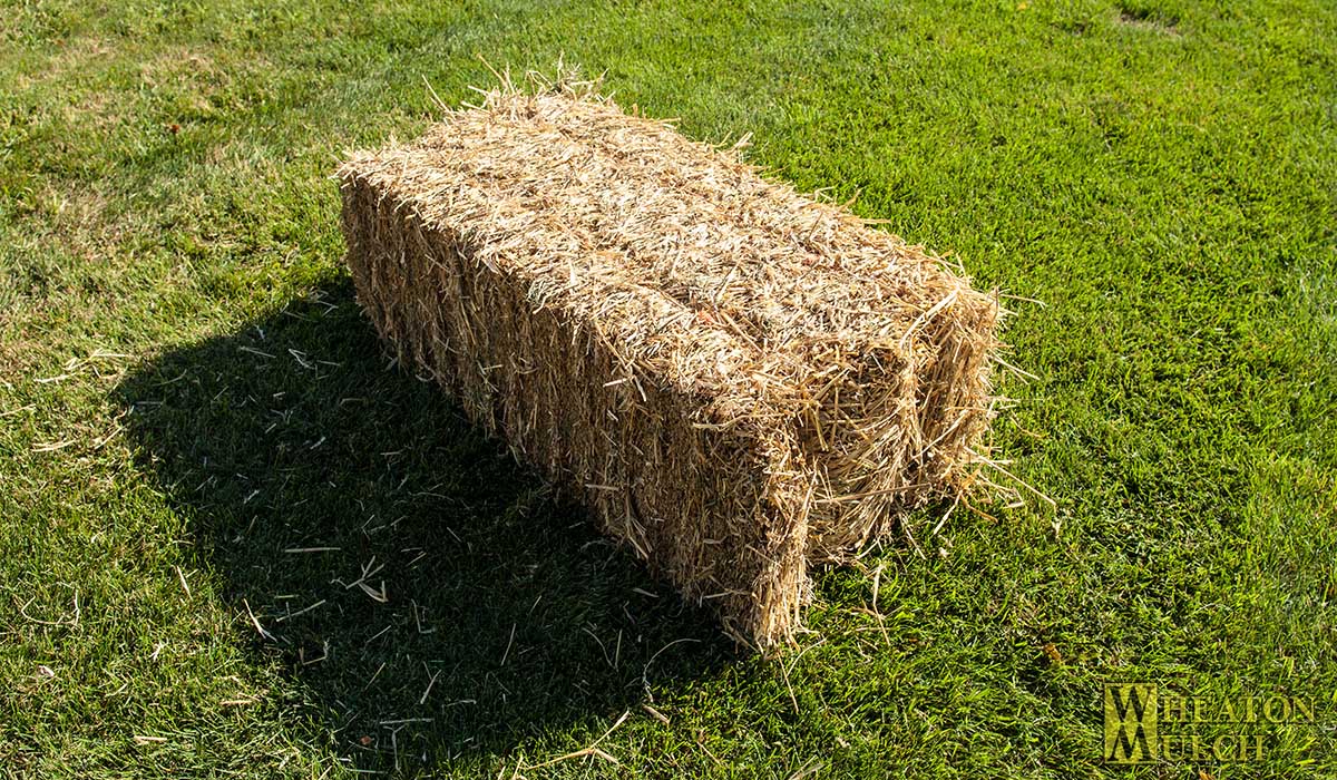 Straw bales for sale at Wheaton Mulch