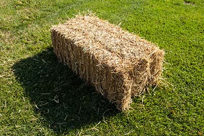 Straw bales for sale on site